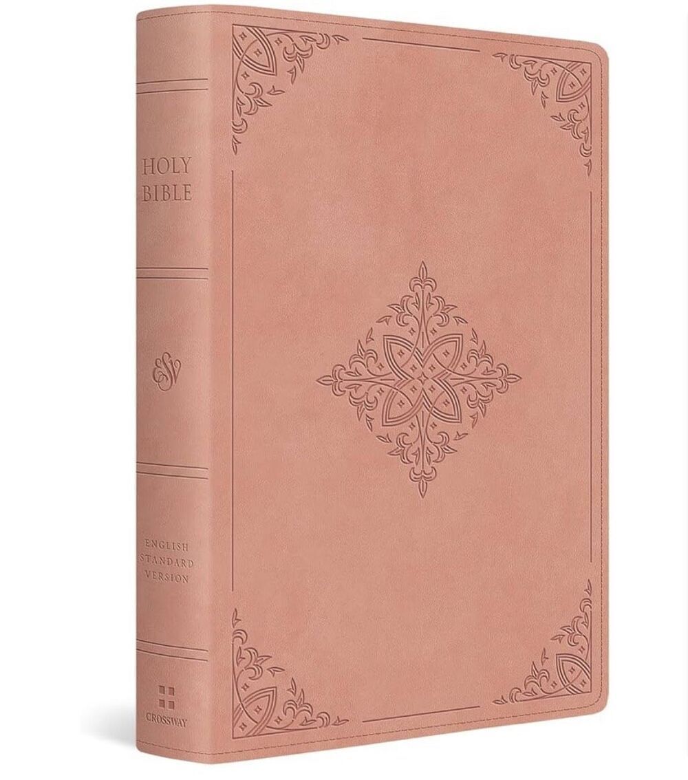 ESV Women's TruTone pink embossed fleur de lis  large print Bible